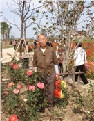 吴玲