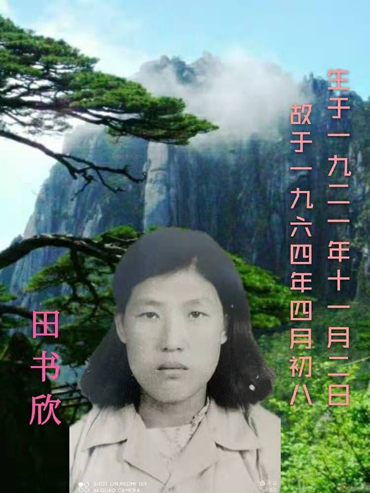 田书欣