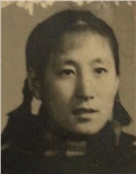 纪灵芝