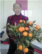 傅兰