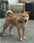 彭文浩