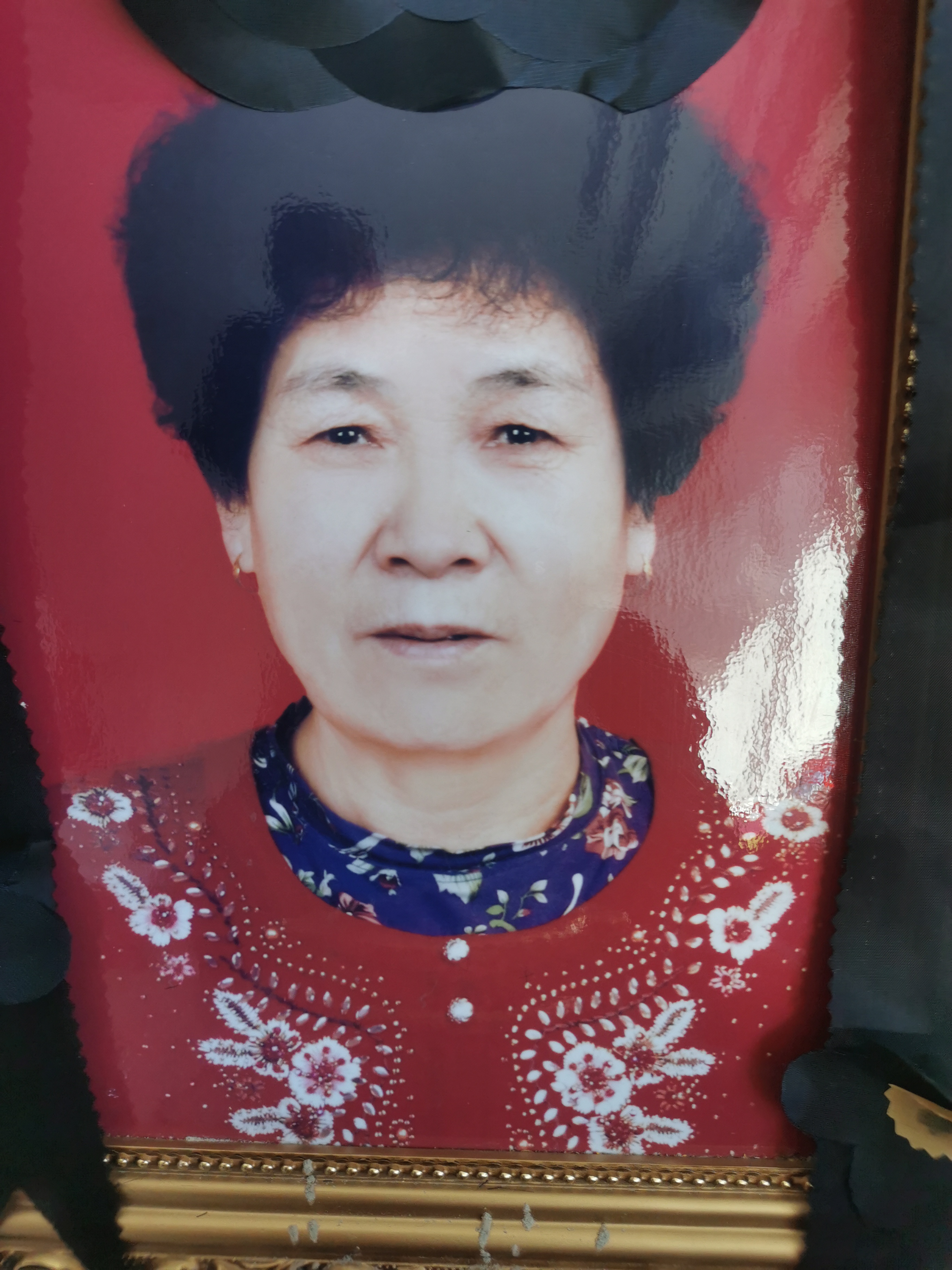 张芝兰