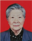 吴杏村