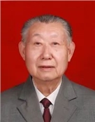 夏治平