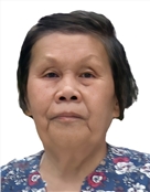 朱雪梅