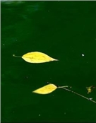 小三