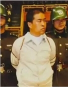 魏清安