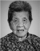 陈文英