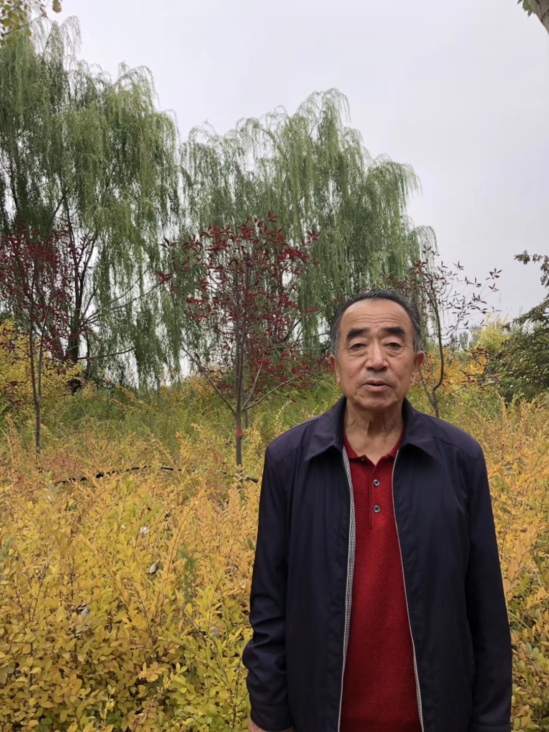 刘贵金