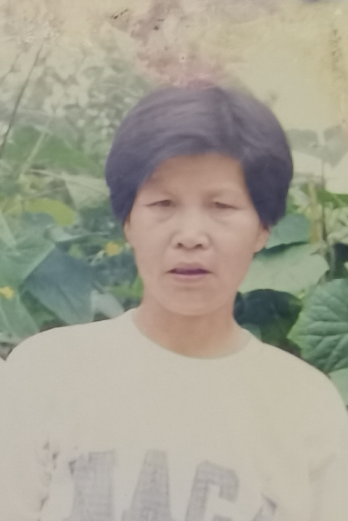 王裕凤