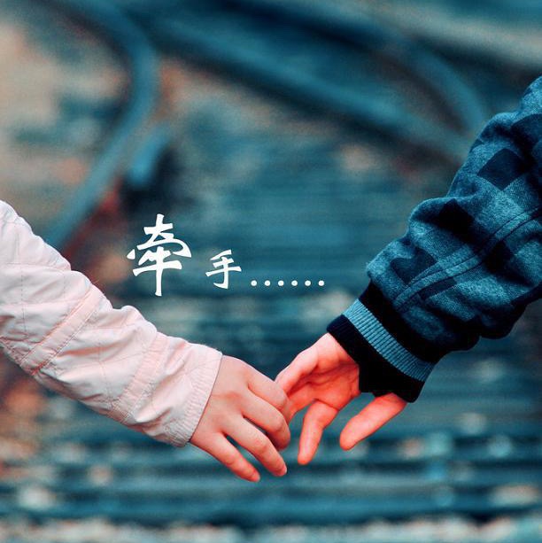 你的猪