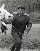 王顺友