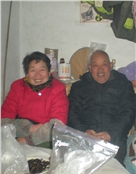 金桂