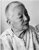 王晓玲
