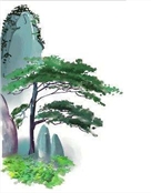 怀念