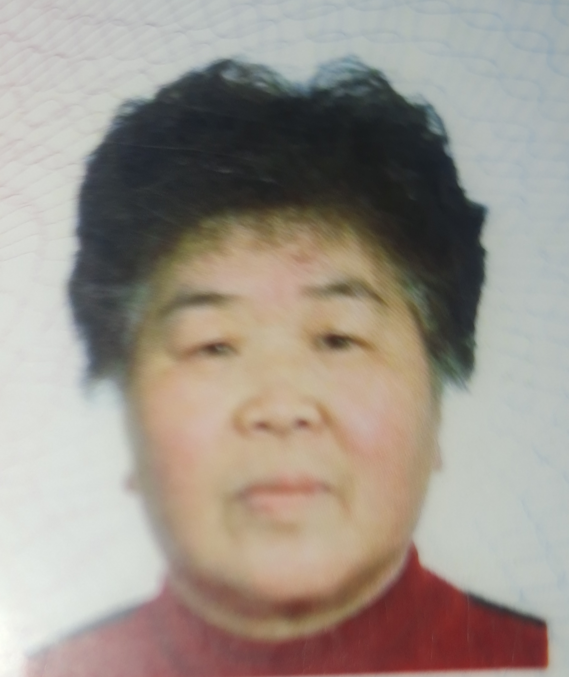 屠书萍