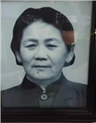 母亲杨引儿