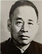 张金城