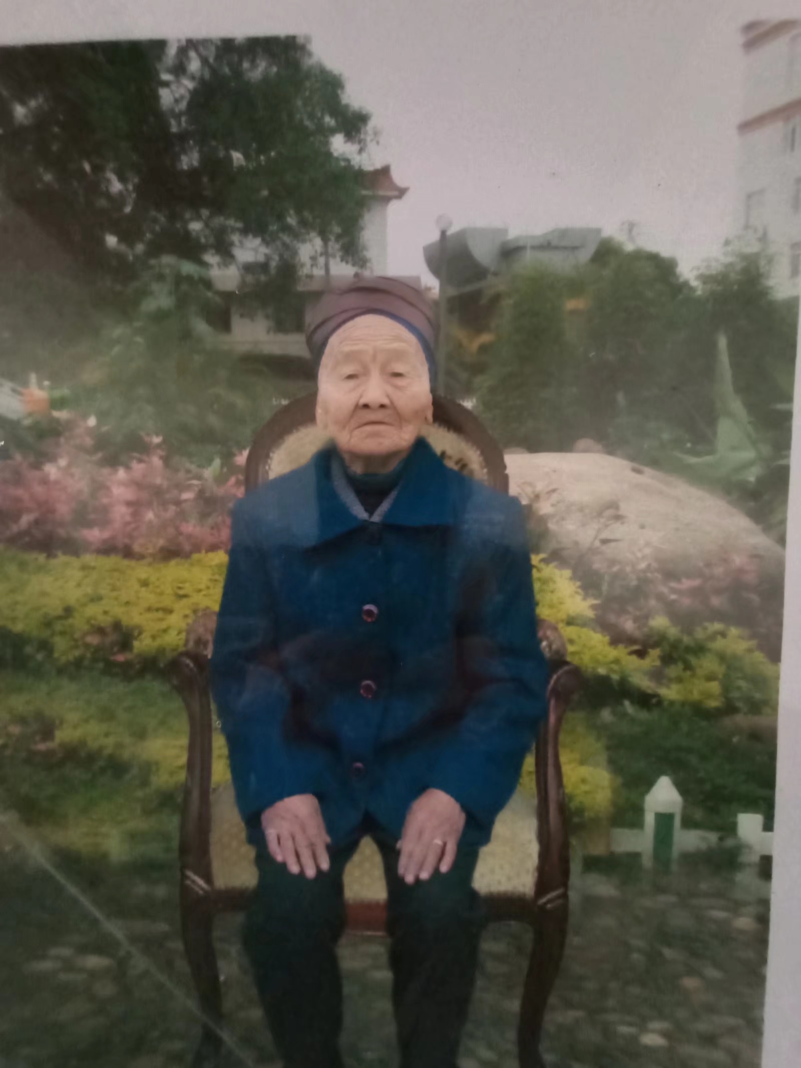 龙金芝