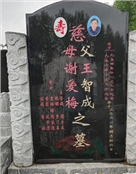 王智成