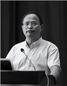 湖北大学人文社会科学资深教授江畅