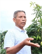 全国劳动模范、全国脱贫攻坚先进个人，广西壮族自治区百色市田阳县那坡镇尚兴村村民莫文珍