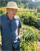 王能兵