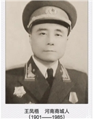 王凤梧