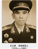 王云霖