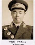 王东保
