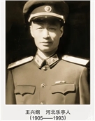 王兴纲