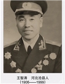 王智涛