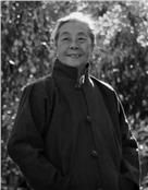 邓淑民
