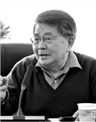 中国社科院文学所研究员杨匡汉