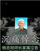 杨忠祯