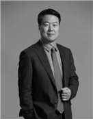 高善文