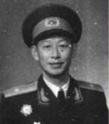 杨树根