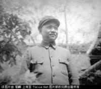 陈光