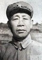 资凤