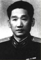 杨力