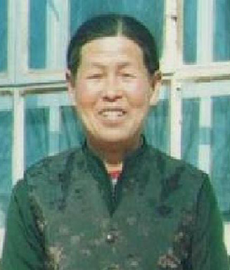 陶淑春
