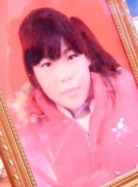 杨园美