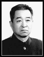 陶琦
