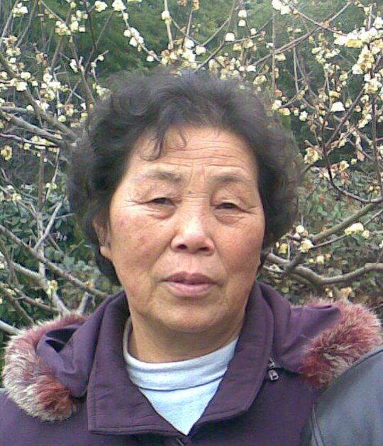 毛仙桃