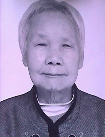 陈淑华