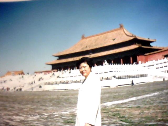 赵丽
