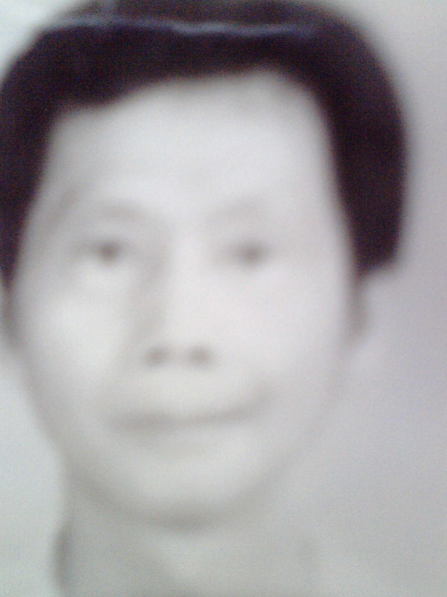 曹启进