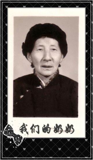邹风书