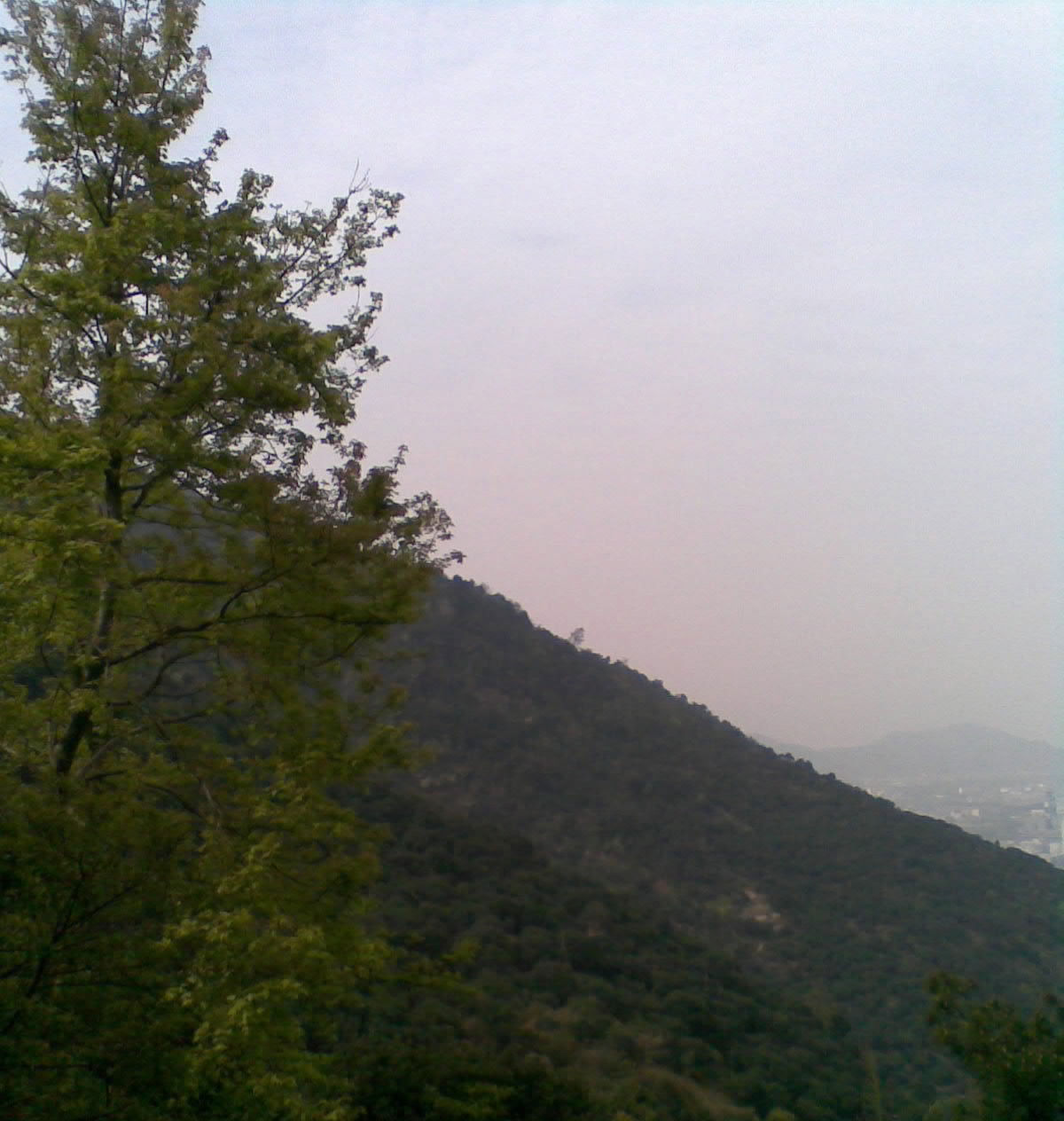 魏景权
