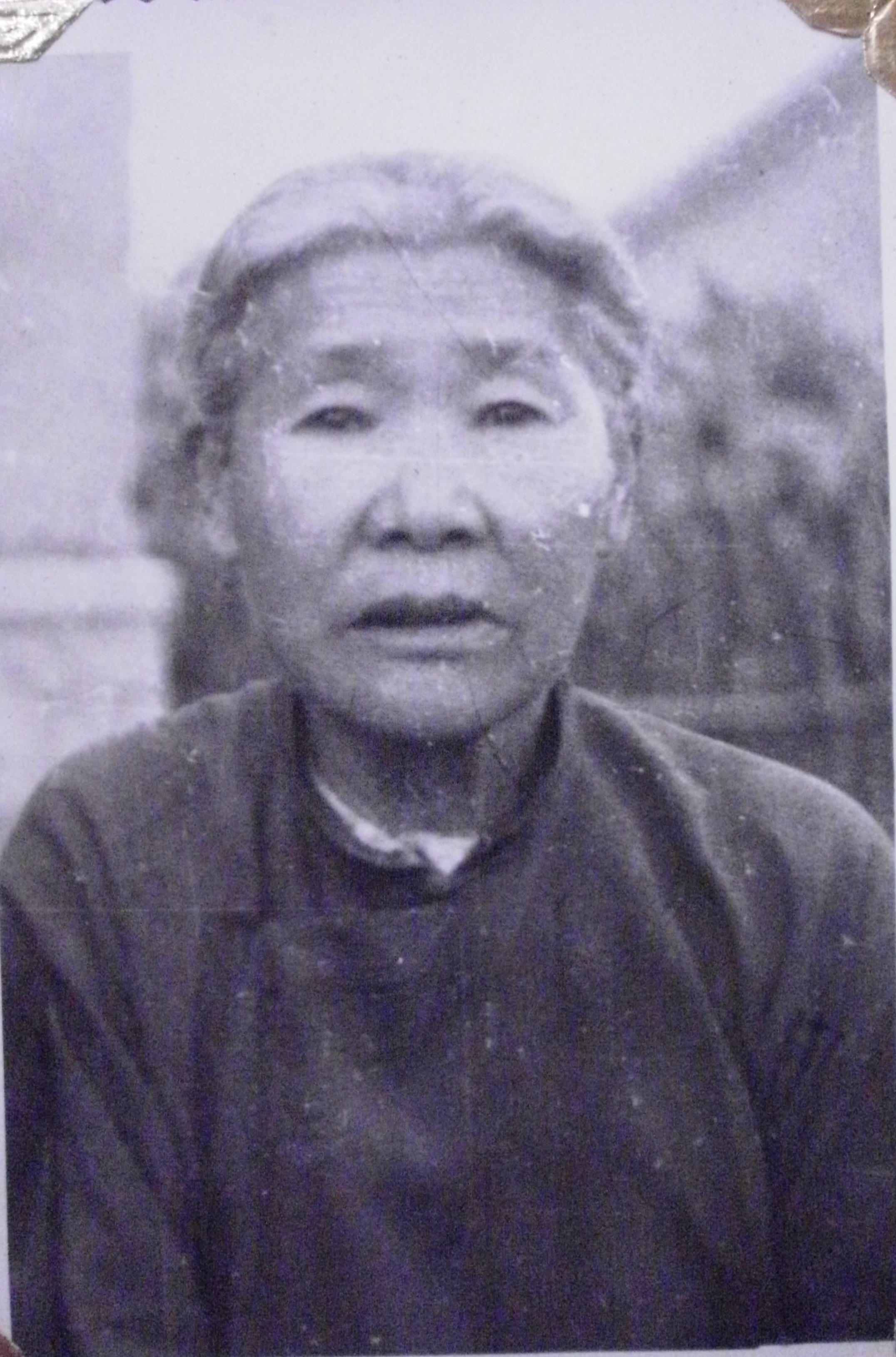 刘本芝